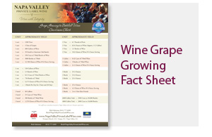 Napa Fact Sheet