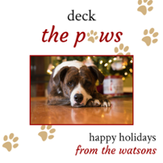 Deck The Paws