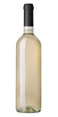 2024 California Sauvignon Blanc