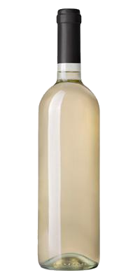 2021 Napa Valley Sauvignon Blanc
